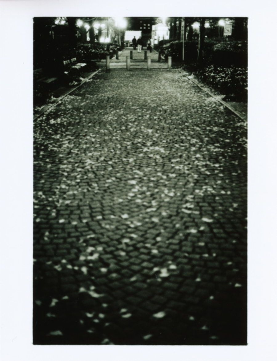 Monochrome
