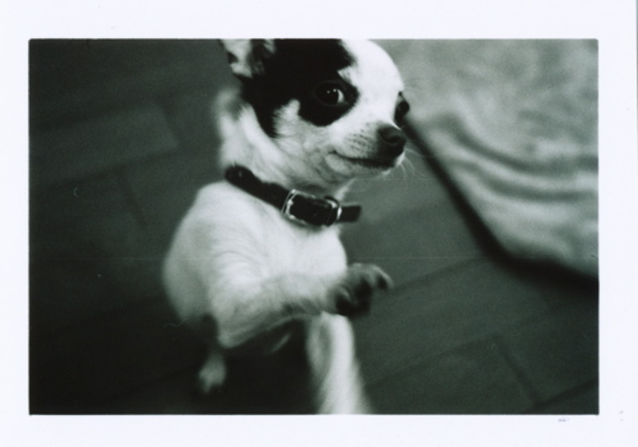 DUFFY