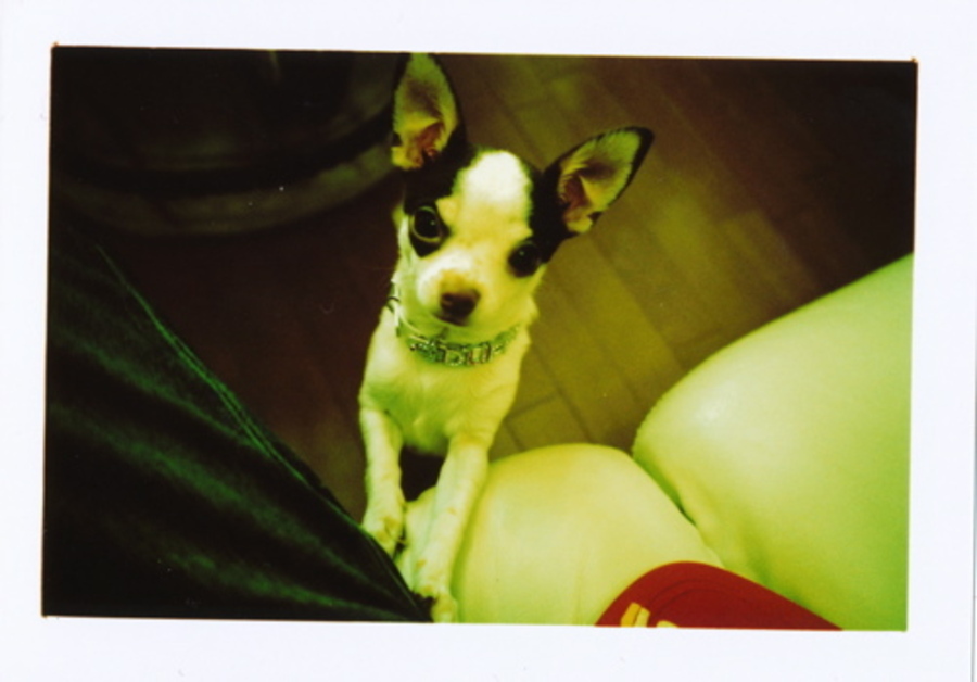 DUFFY